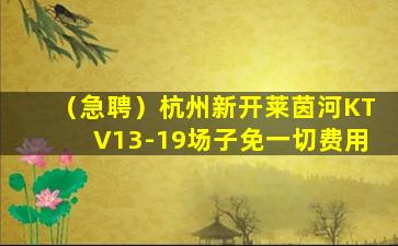 莆田酒吧招聘